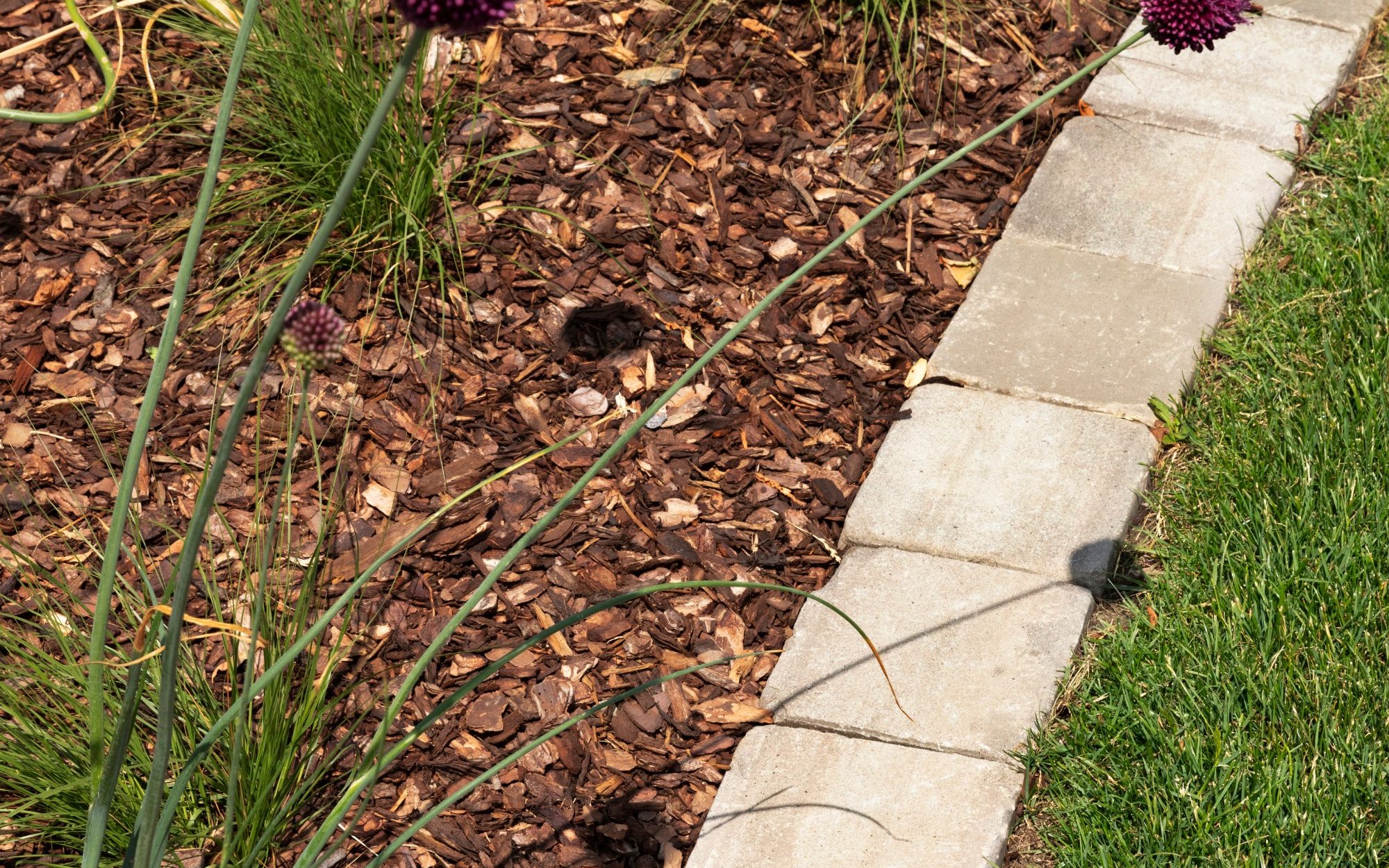 Retro Pflasterklinker PK873