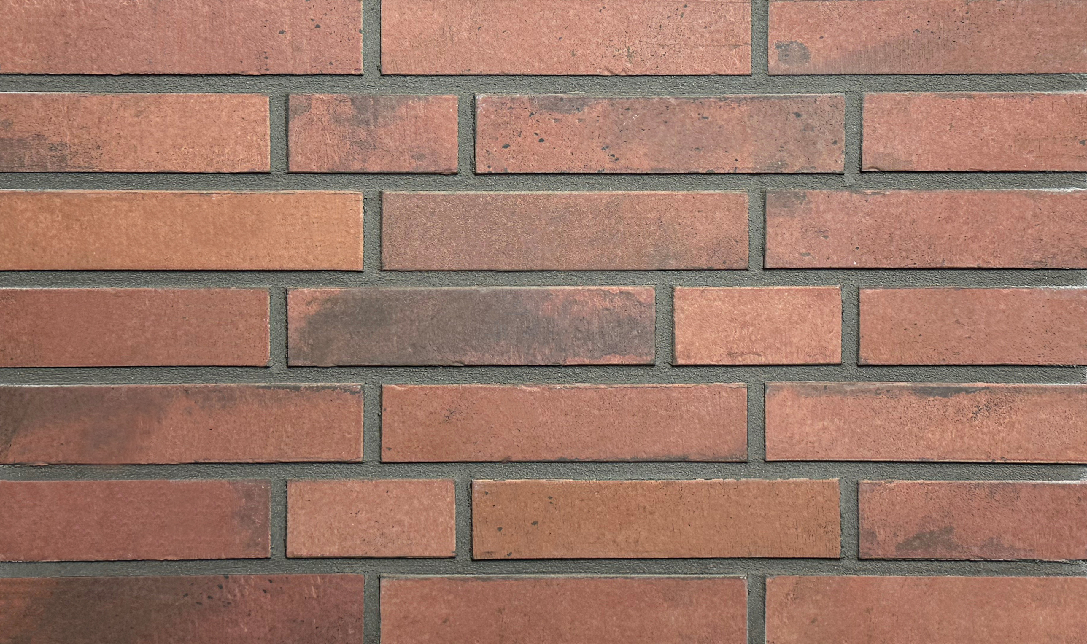 Klinkerriemchen Klinkerriemchen R1069 DF