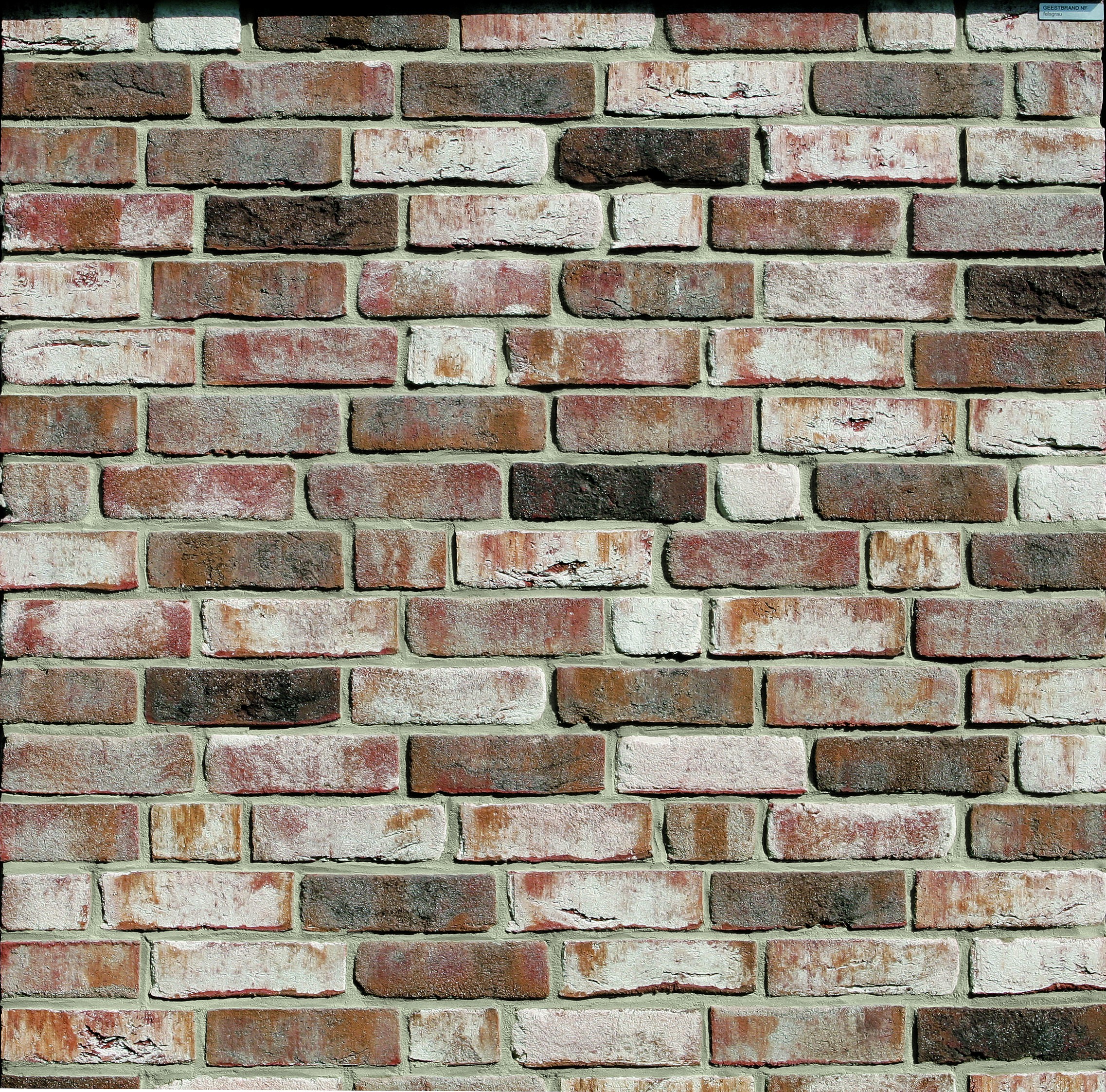 beige-weiss