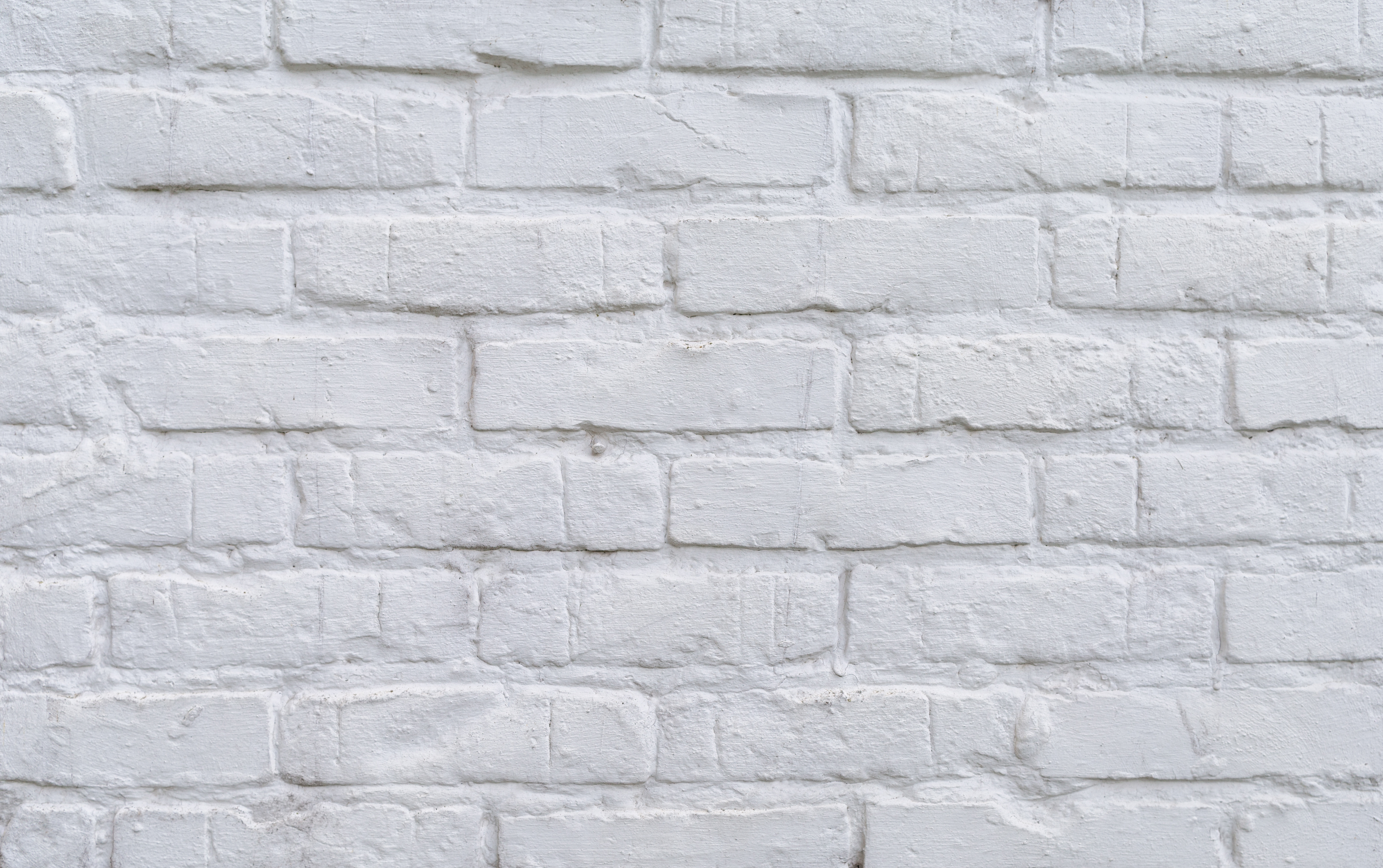 Ein Bild des Riemchen zum Streichen K950R-WF