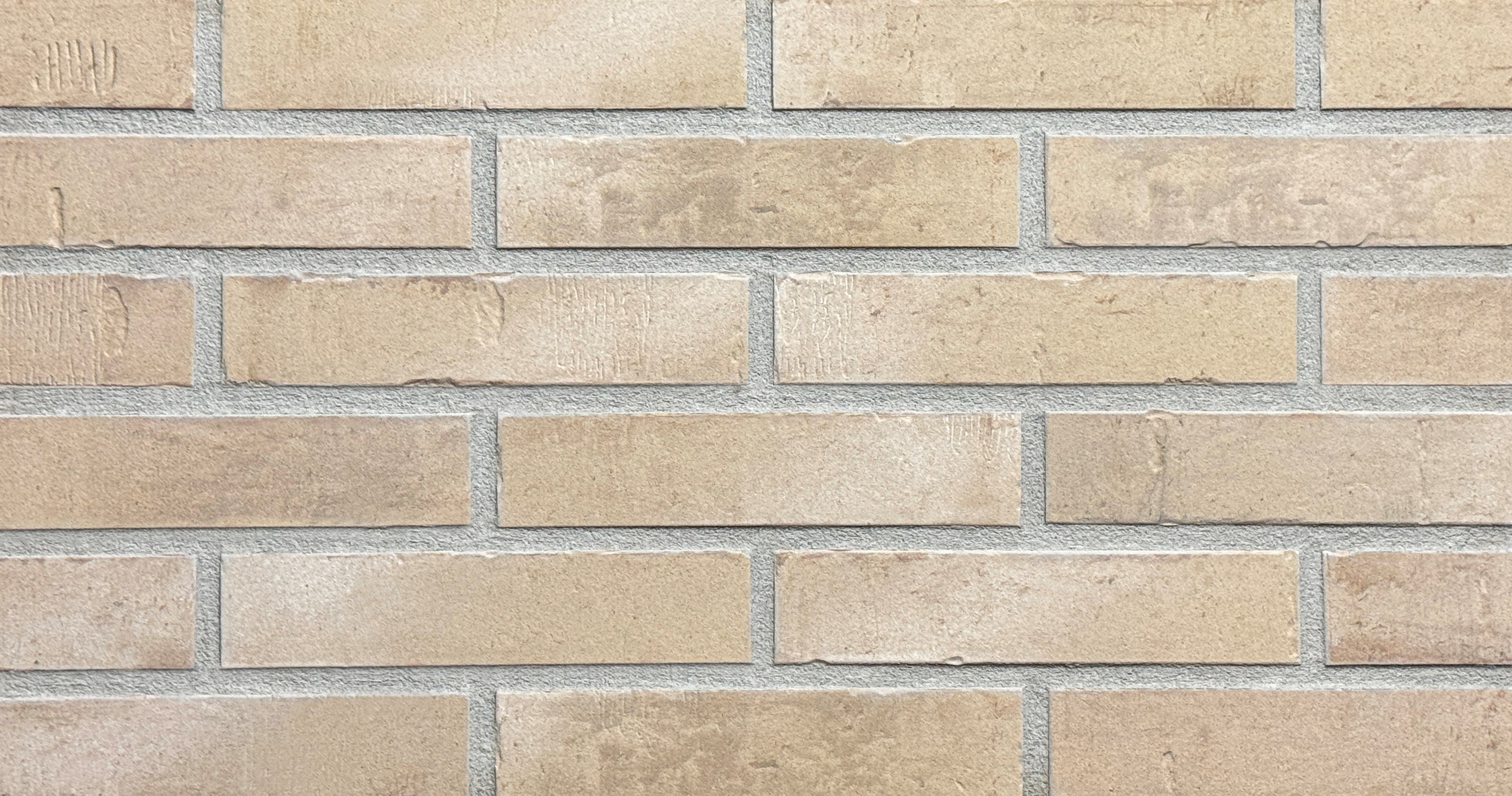 Ein Bild des Klinker Riemchen R1043