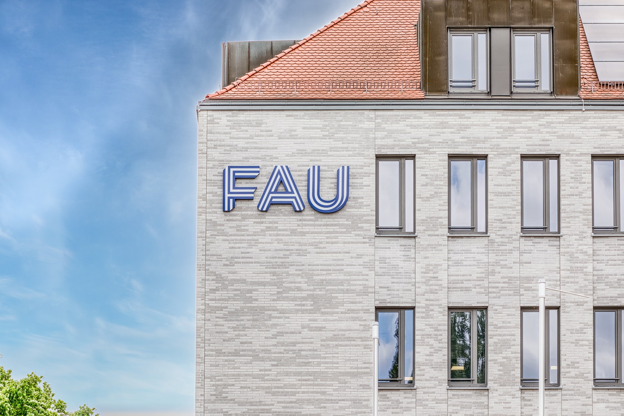 Klinker Riemchen Lohmar-LDF10