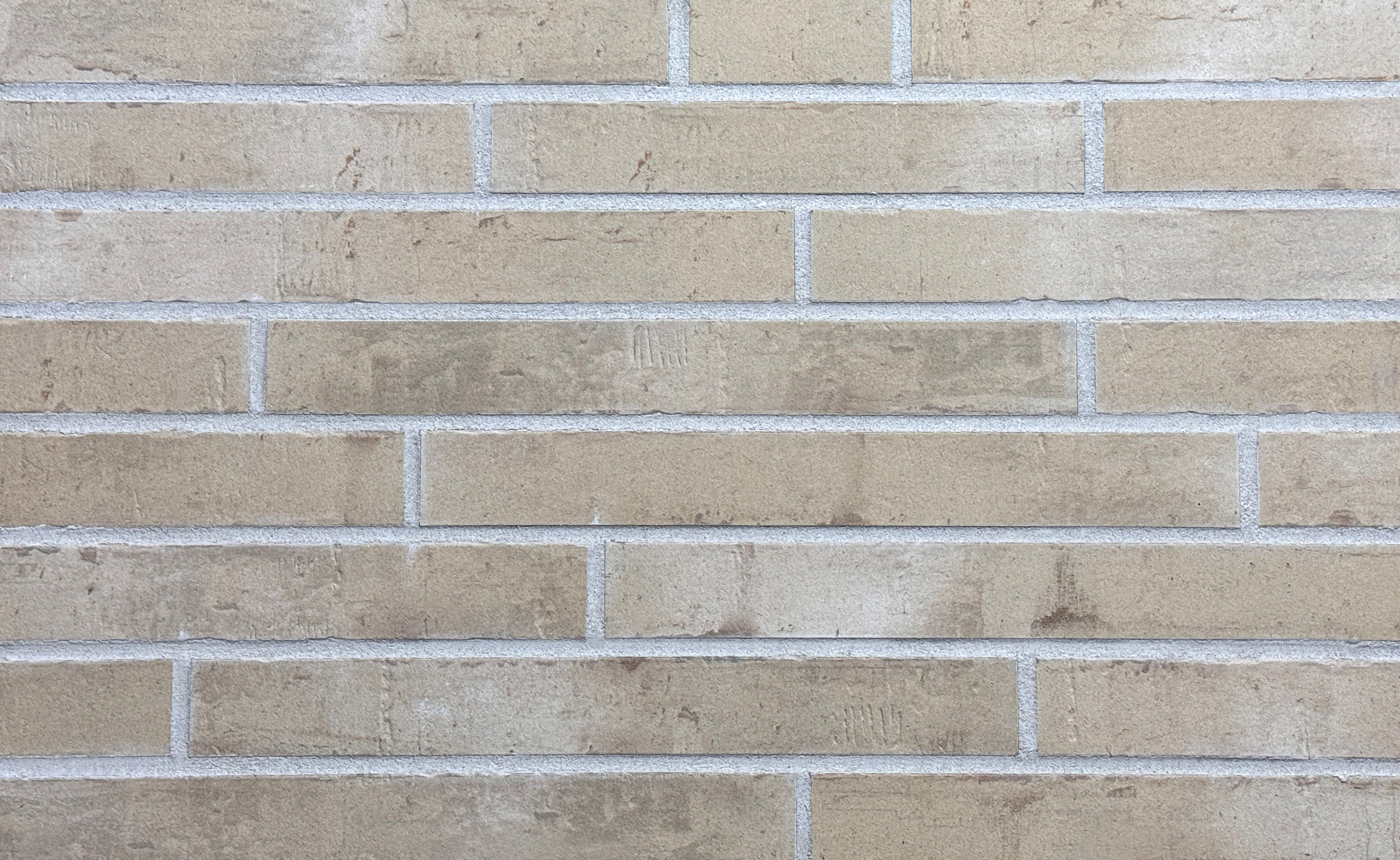 Klinkerriemchen Klinker Riemchen R1043 LF