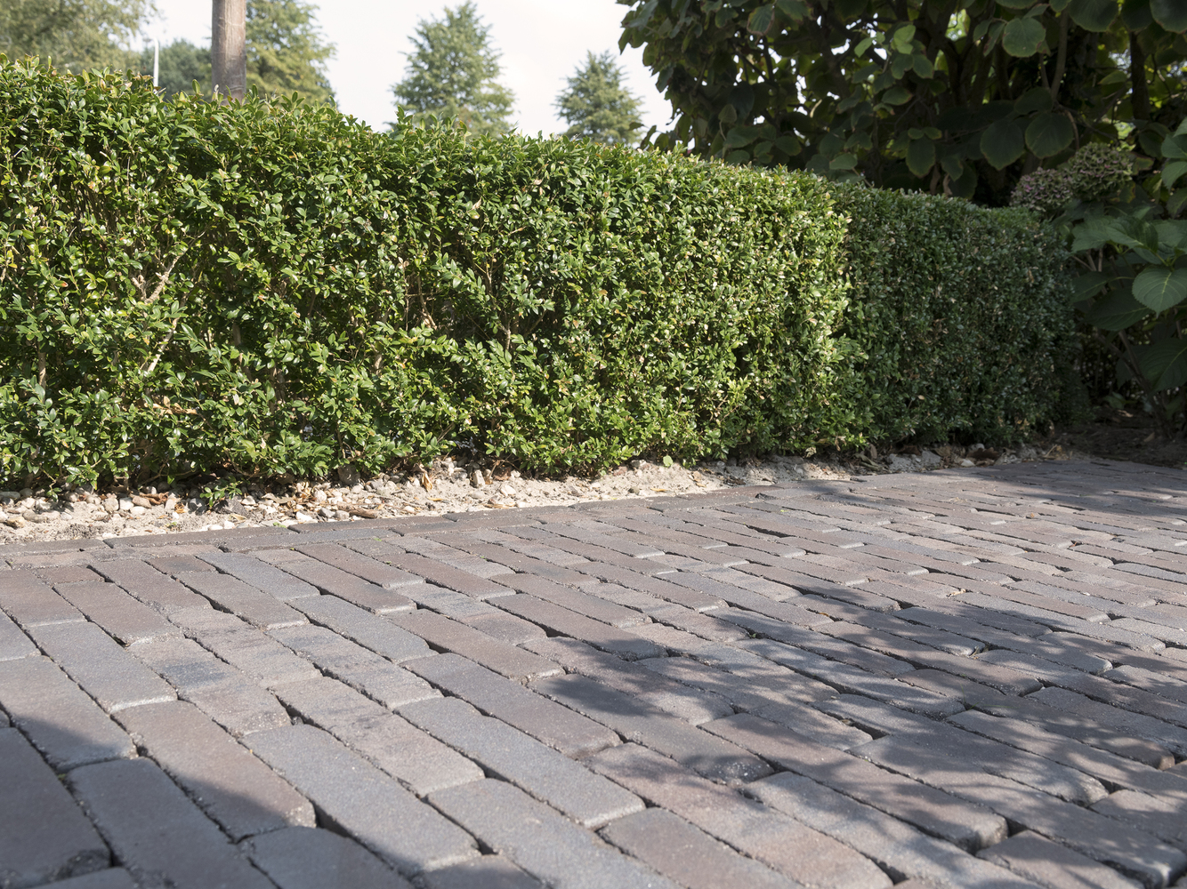 Pflasterklinker PK136