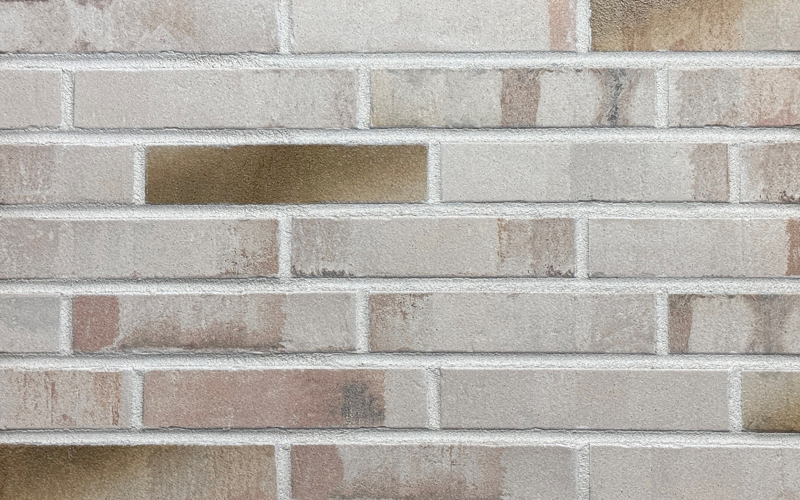 Klinkerriemchen Klinker Riemchen R1046