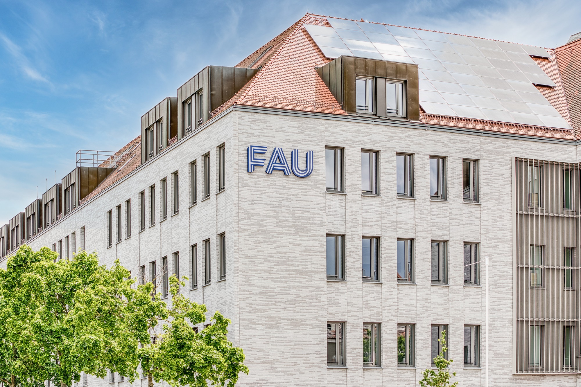 Klinker Riemchen Lohmar-LDF10