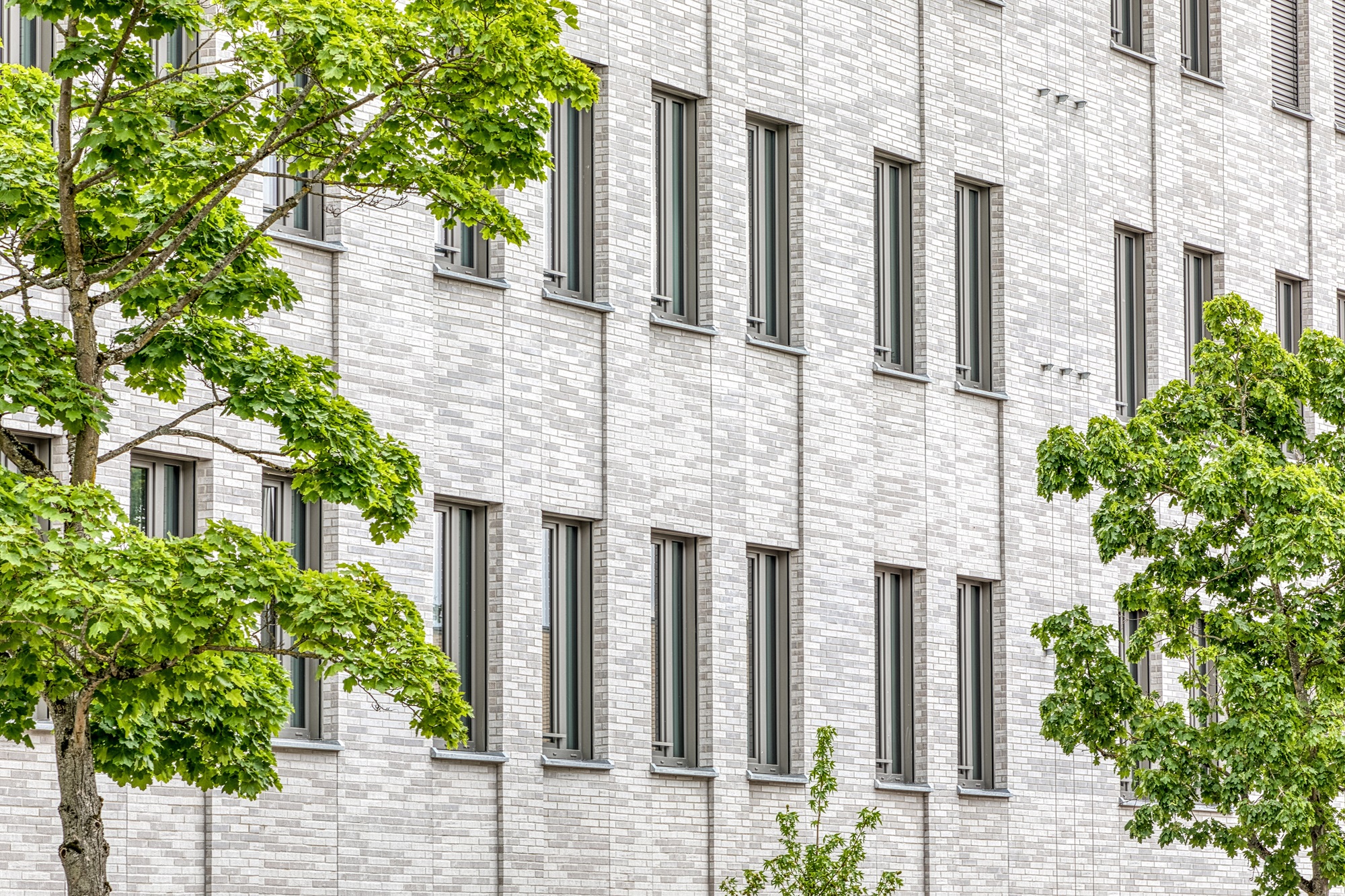 Klinker Riemchen Lohmar-LDF10